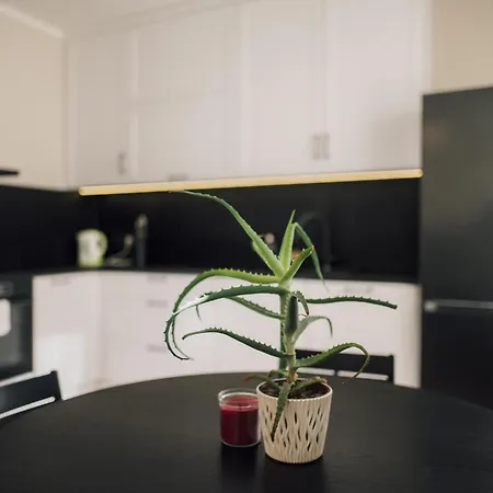 Cakstes Rezidence Appartement *